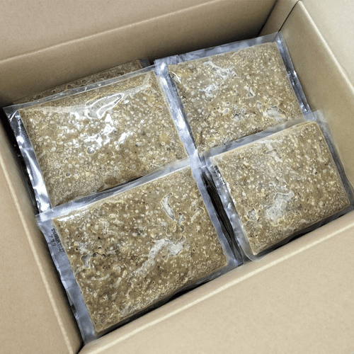業務用冷凍カレー 鶏肉とアサリの和だしスパイスカレー50食入 パッケージ